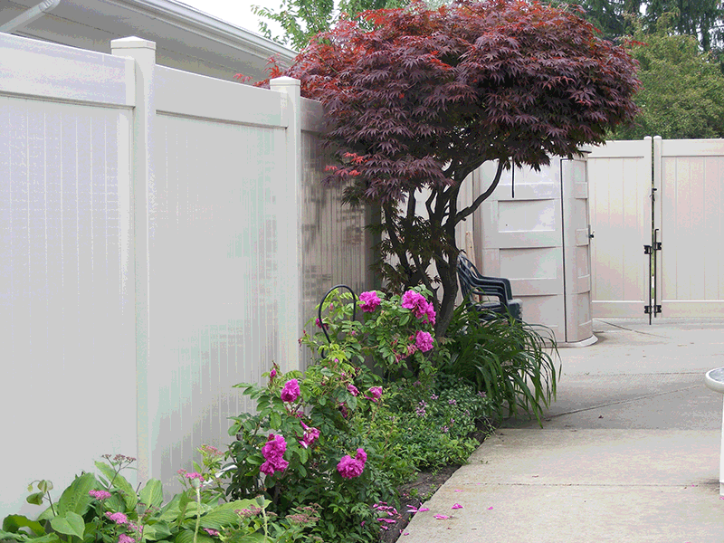 Vinyl Fence