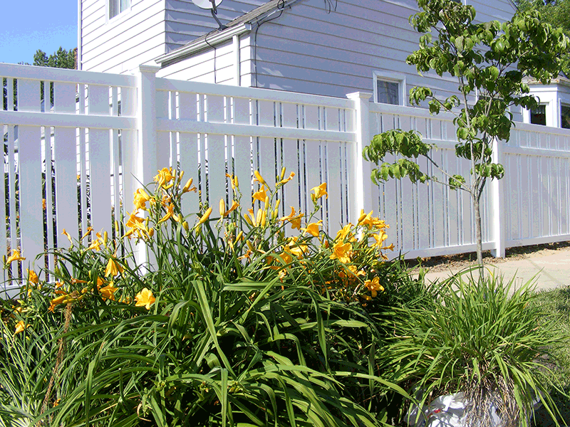 Vinyl Fence